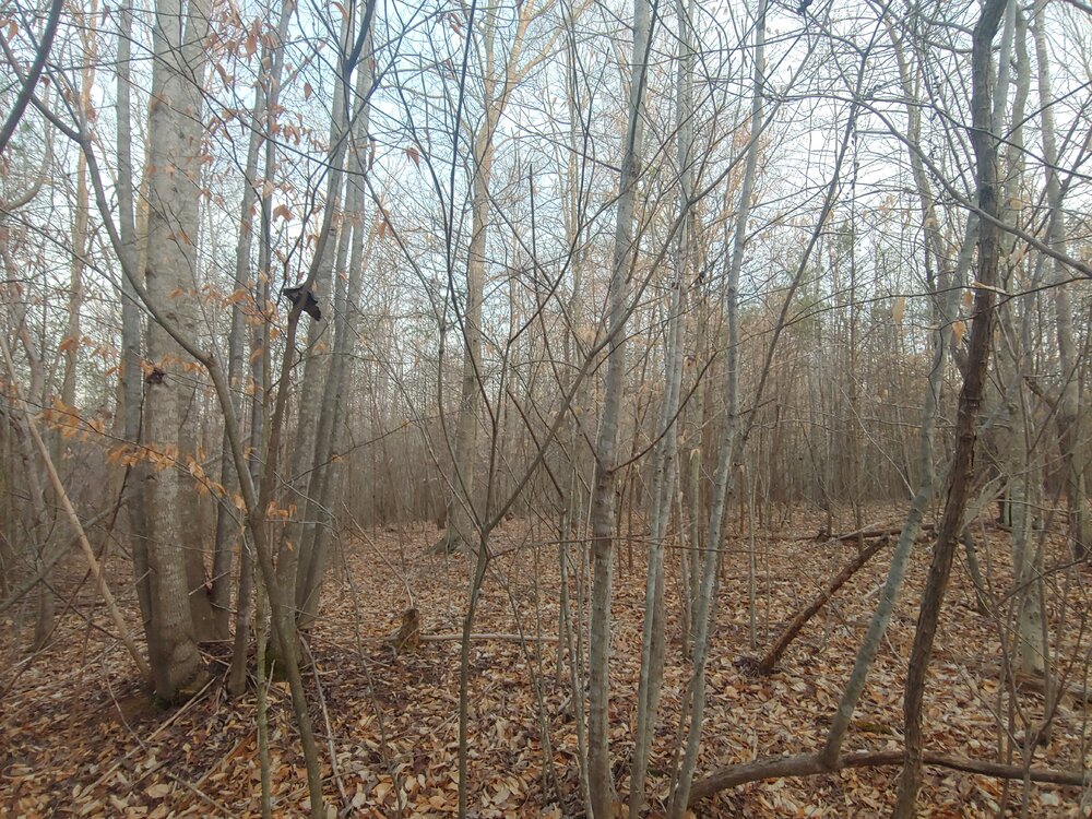 0324211921c_HDR.jpg