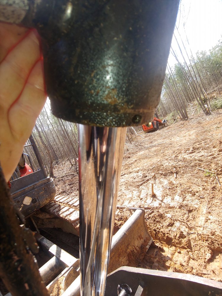 0401211324_HDR.jpg