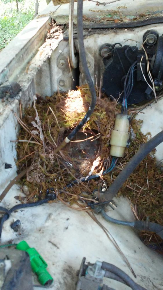 0428191128_resized (1).jpg