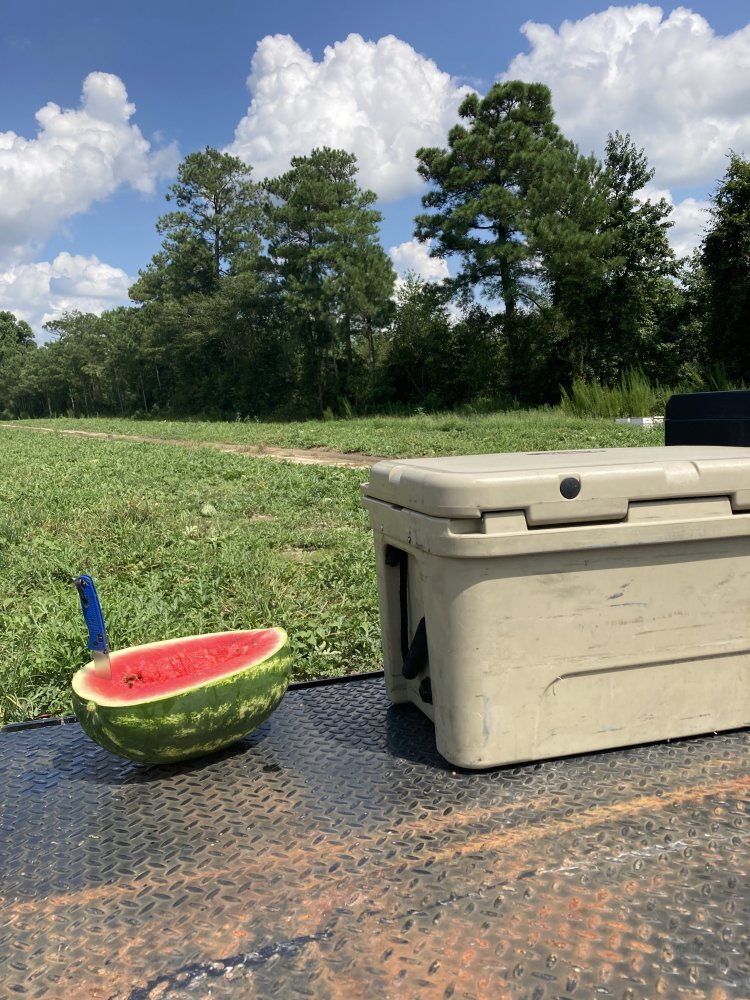069B06C6-B062-472C-91AE-12E6C8678CE1.jpeg