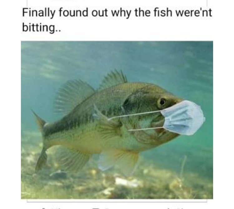 06A7A5AE-91EE-41E5-81B4-01F9C9D96D20.jpeg