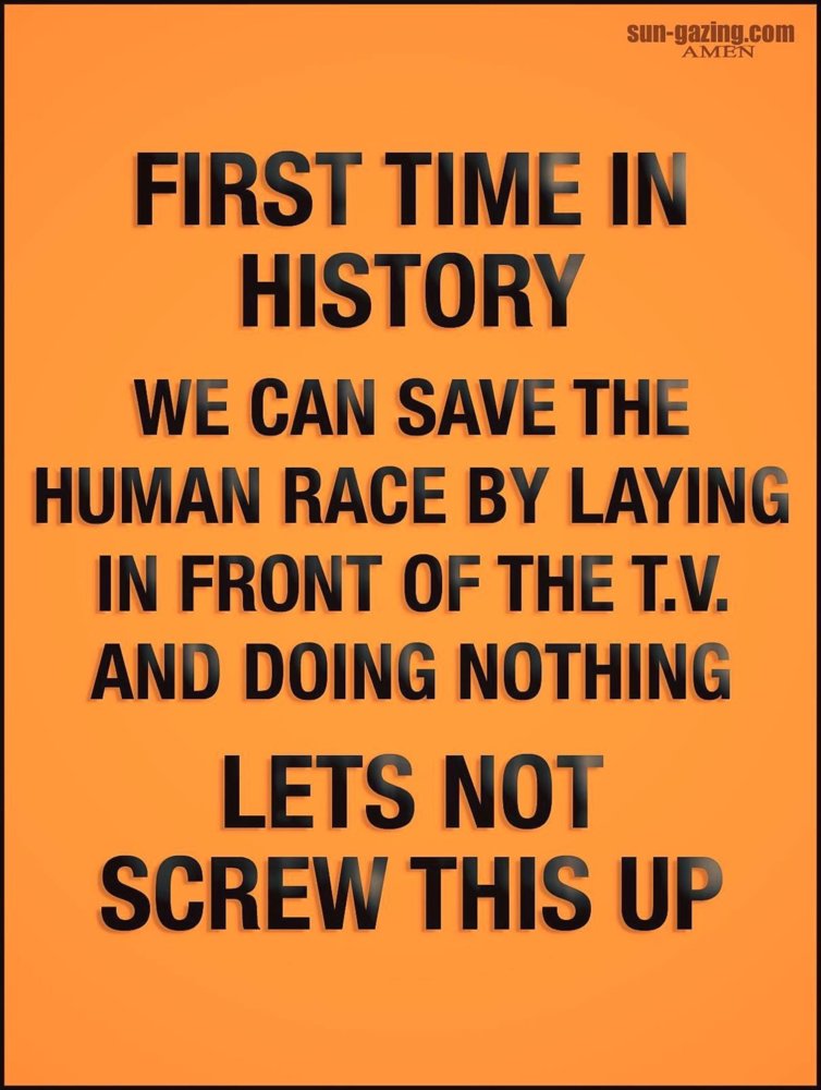 092EE691-2A10-4BF0-A146-7B0FA3BA58FF.jpeg