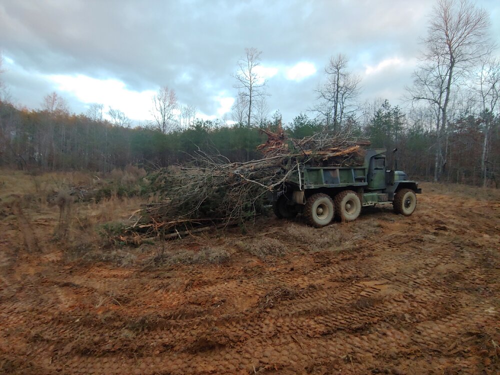 1201201655a_HDR.jpg