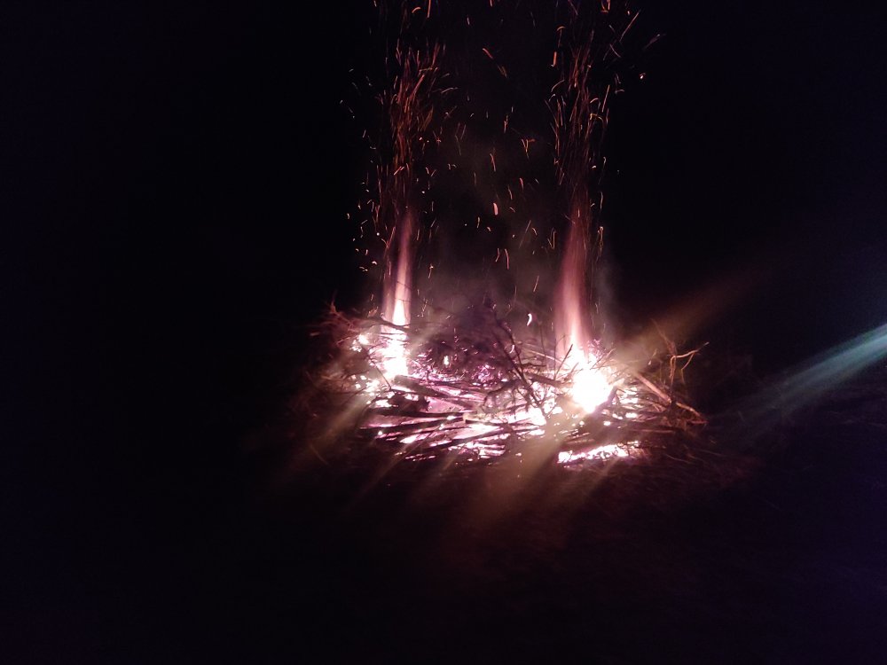 1203201820.jpg