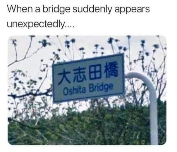 123355FA-94D2-4719-8222-190F4B43B9A0.jpeg