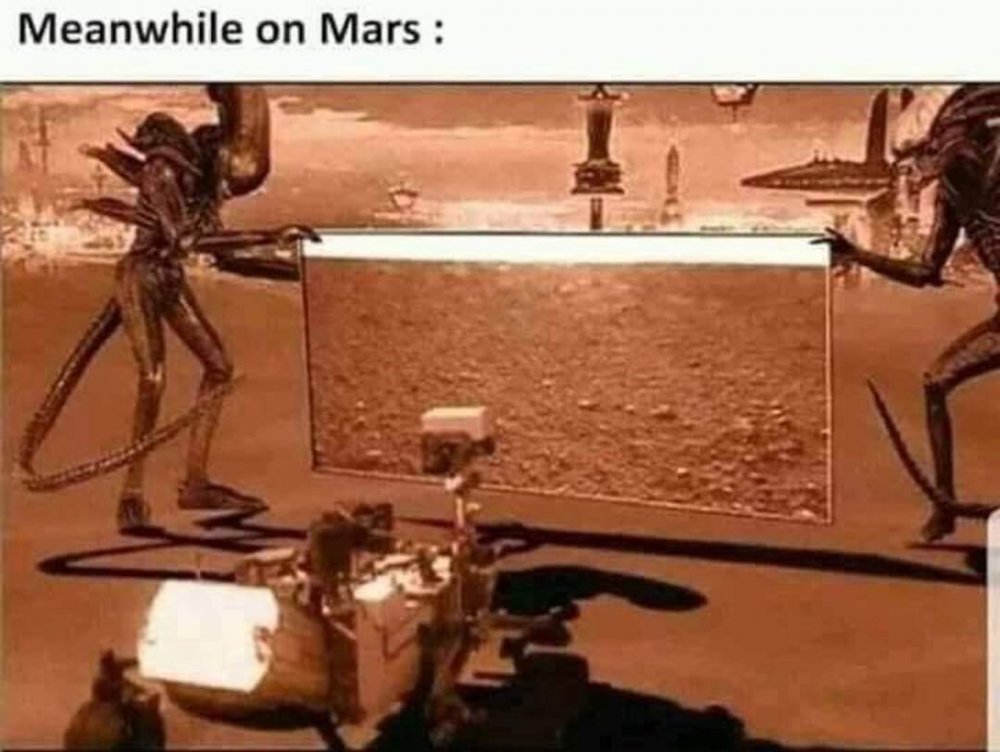 152491207_10224764698494851_65632002794969535_o.jpg