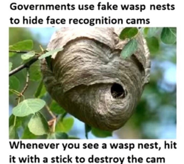 1611413556063.jpeg