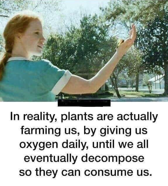 1614802796484.png