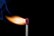 1617322522882.gif