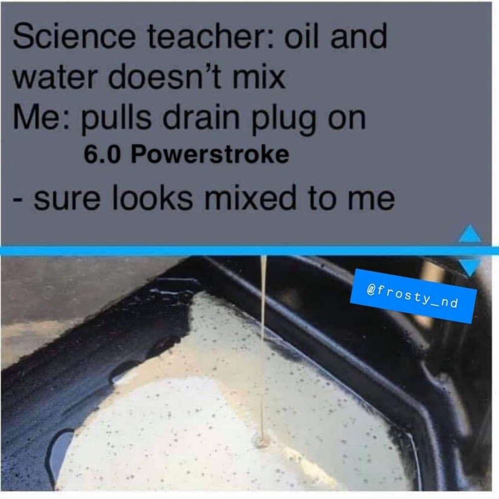 1617813879791.png