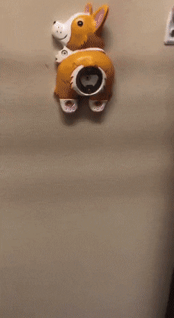 1620817316314.gif