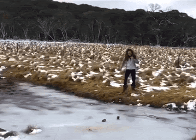 1621981437054.gif
