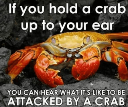 1624403288017.jpeg