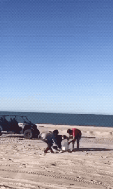1625528132202.gif