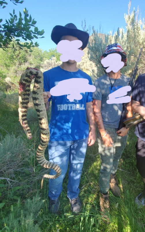 1625677937108.jpeg