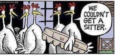 1626477616311.png