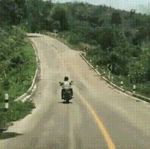 1629847279634.gif