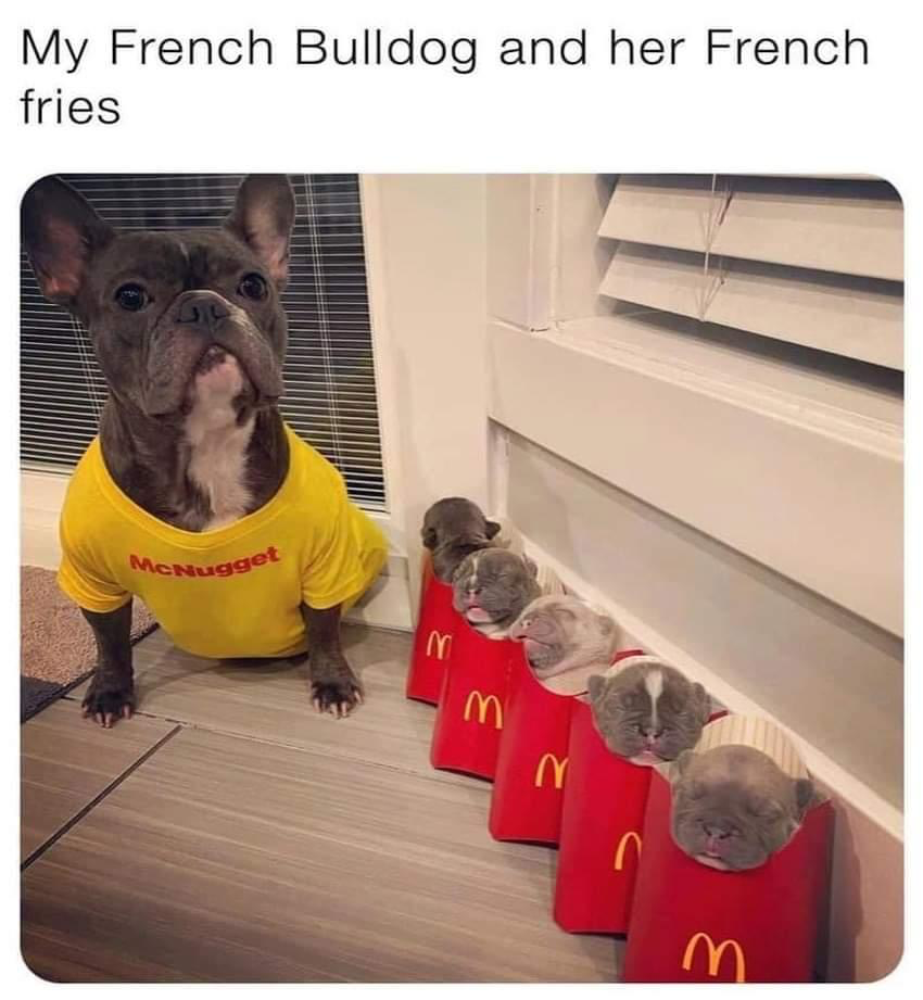 1634607780975.png