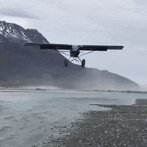 1639008375839.gif