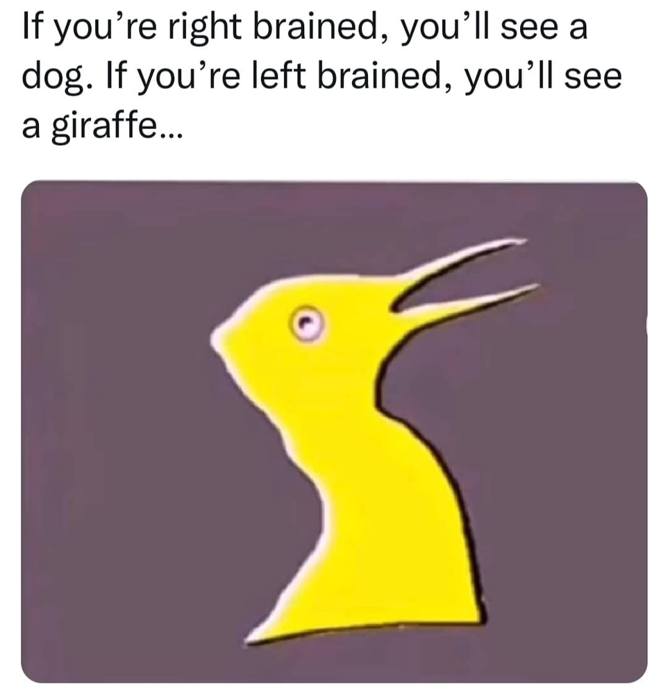 1642688073637.png