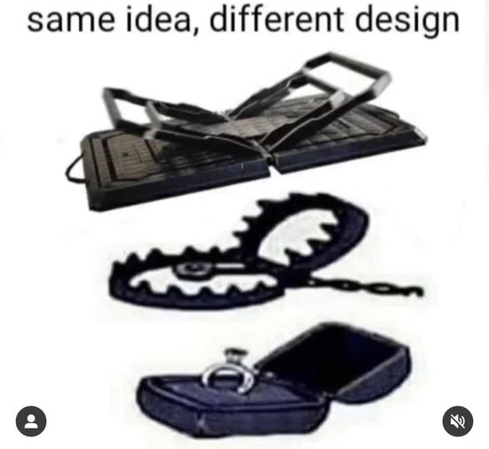 1644245253320.png