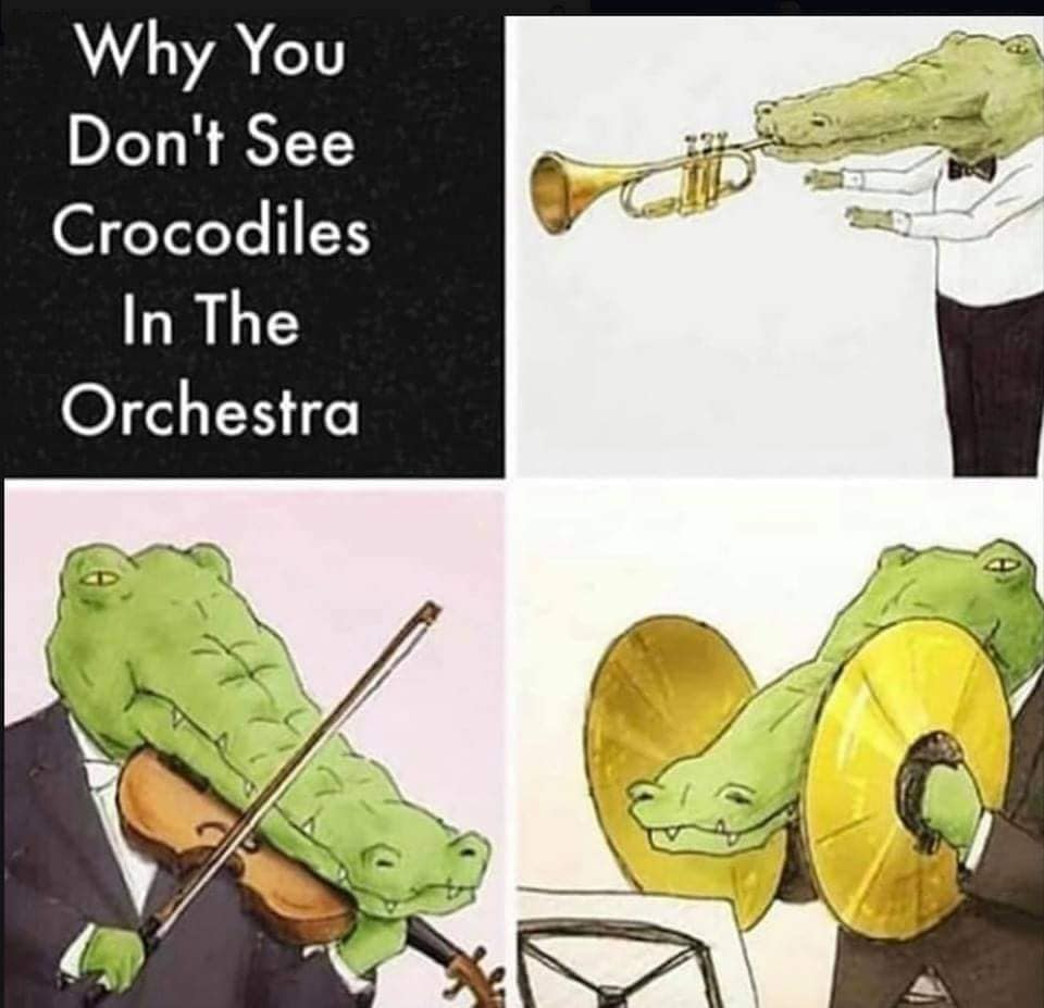 1645405844843.png