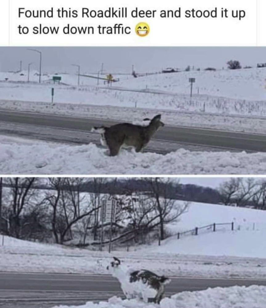 1645411221912.png