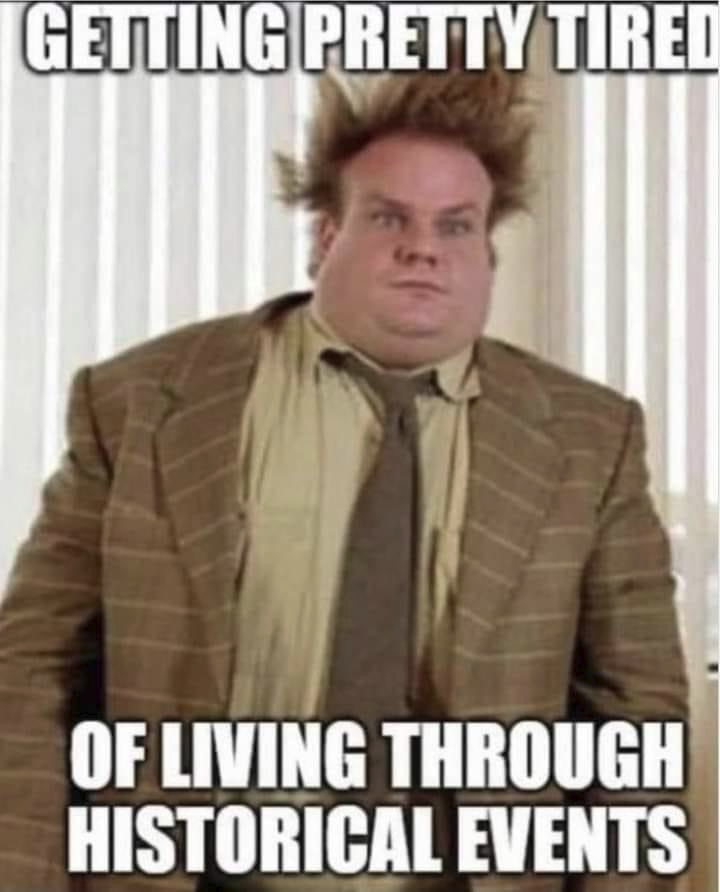 1646180865514.png