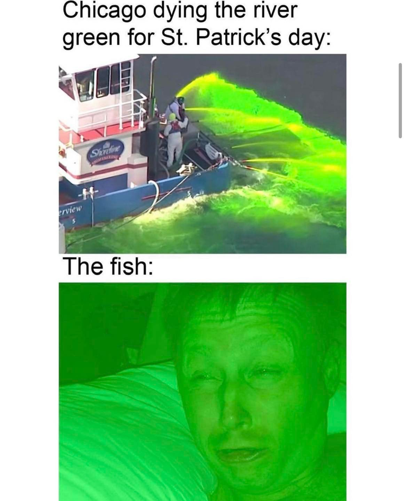 1647545992681.png
