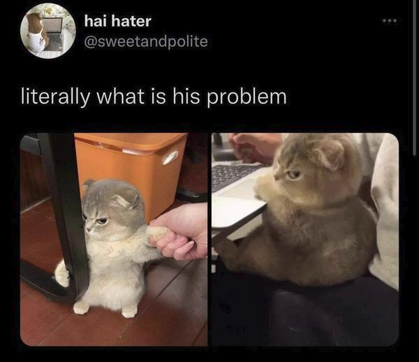 1647912094517.png
