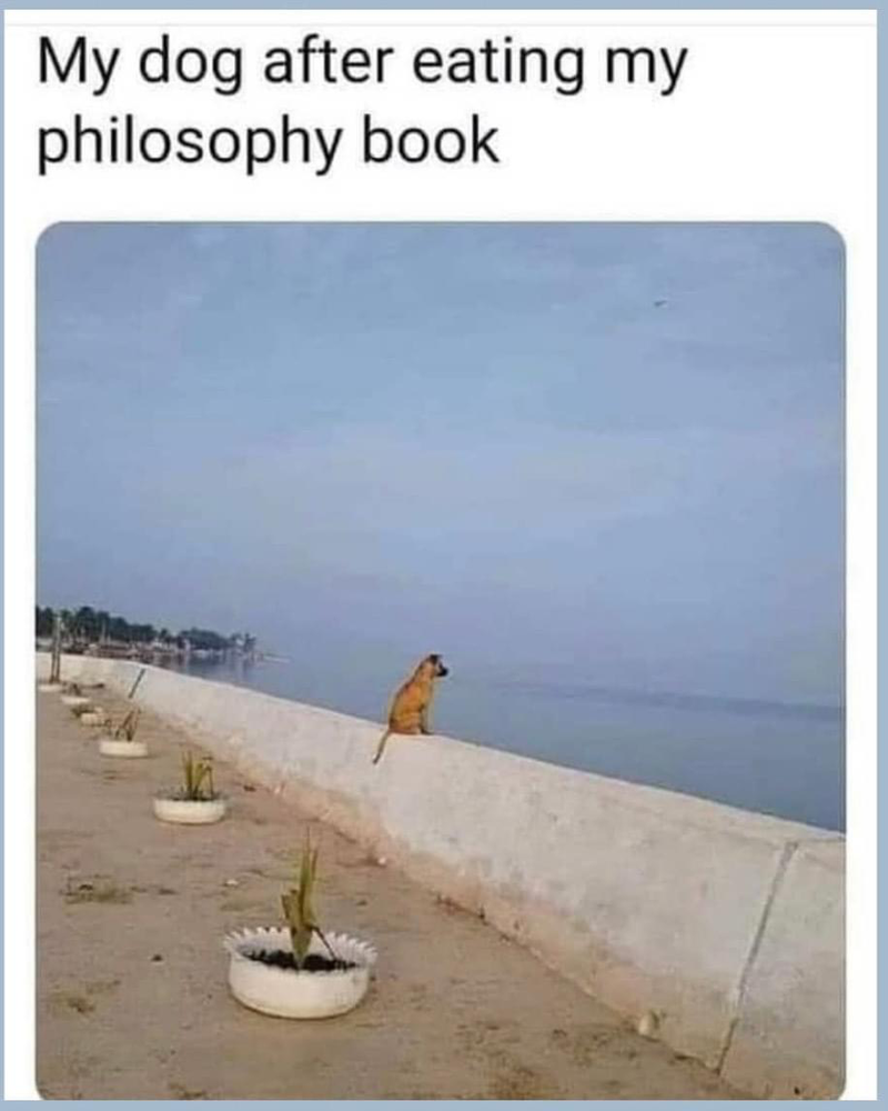 1652568576215.png