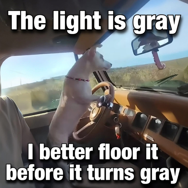 1778328164634.png