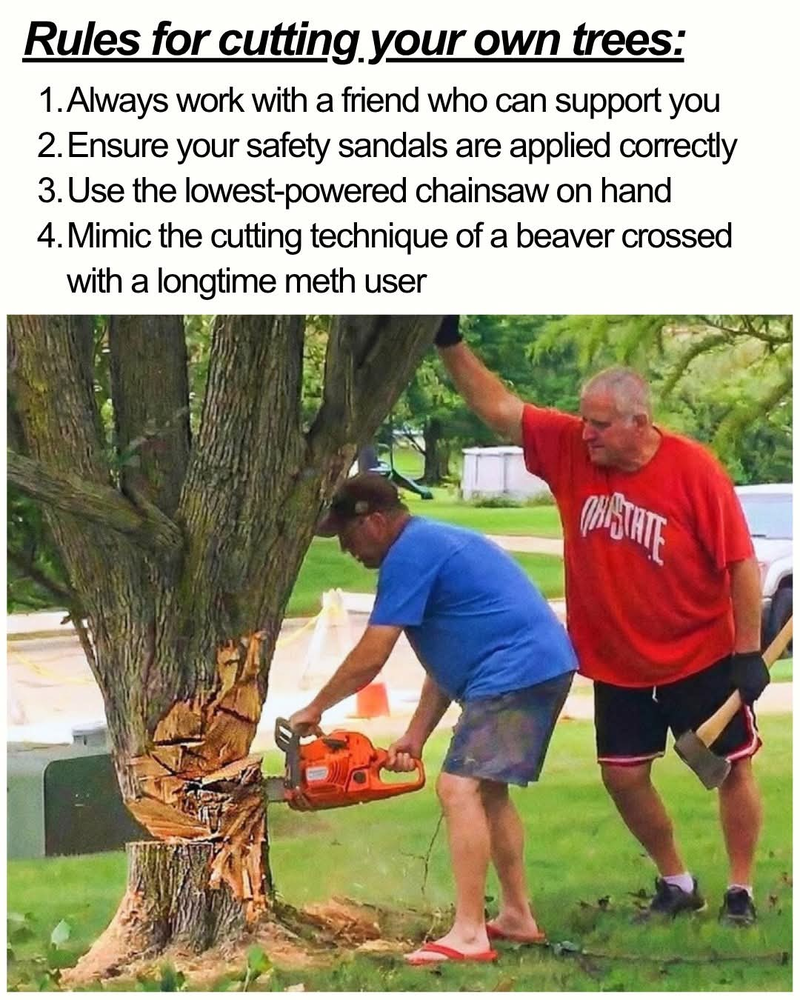 1780408785911.png