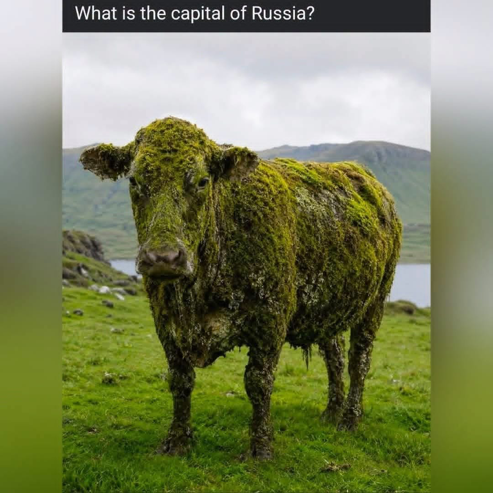 1780681866288.png