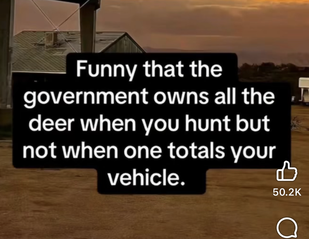 1786489285551.png