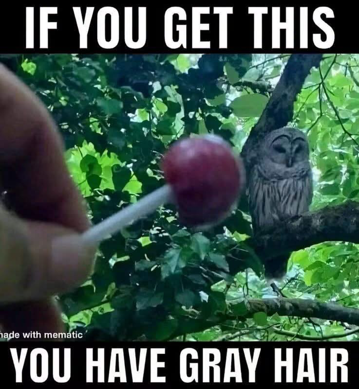 1787845531630.png