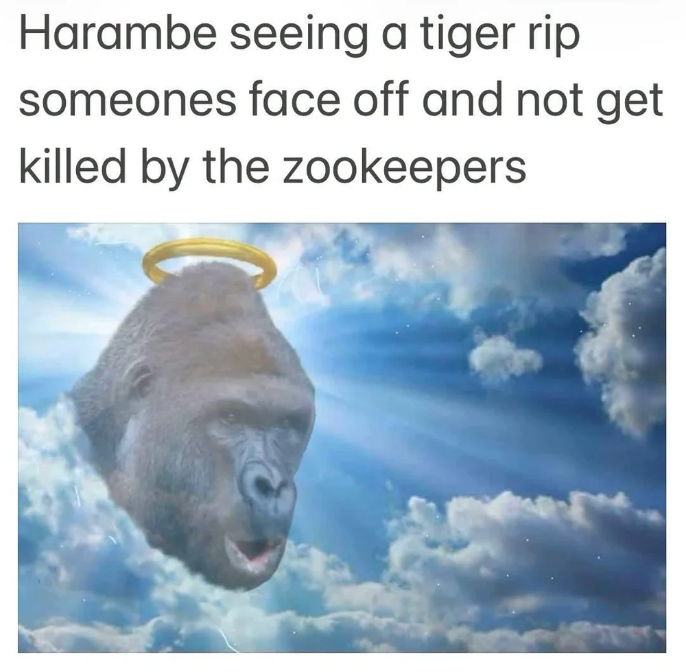 1792027755954.png
