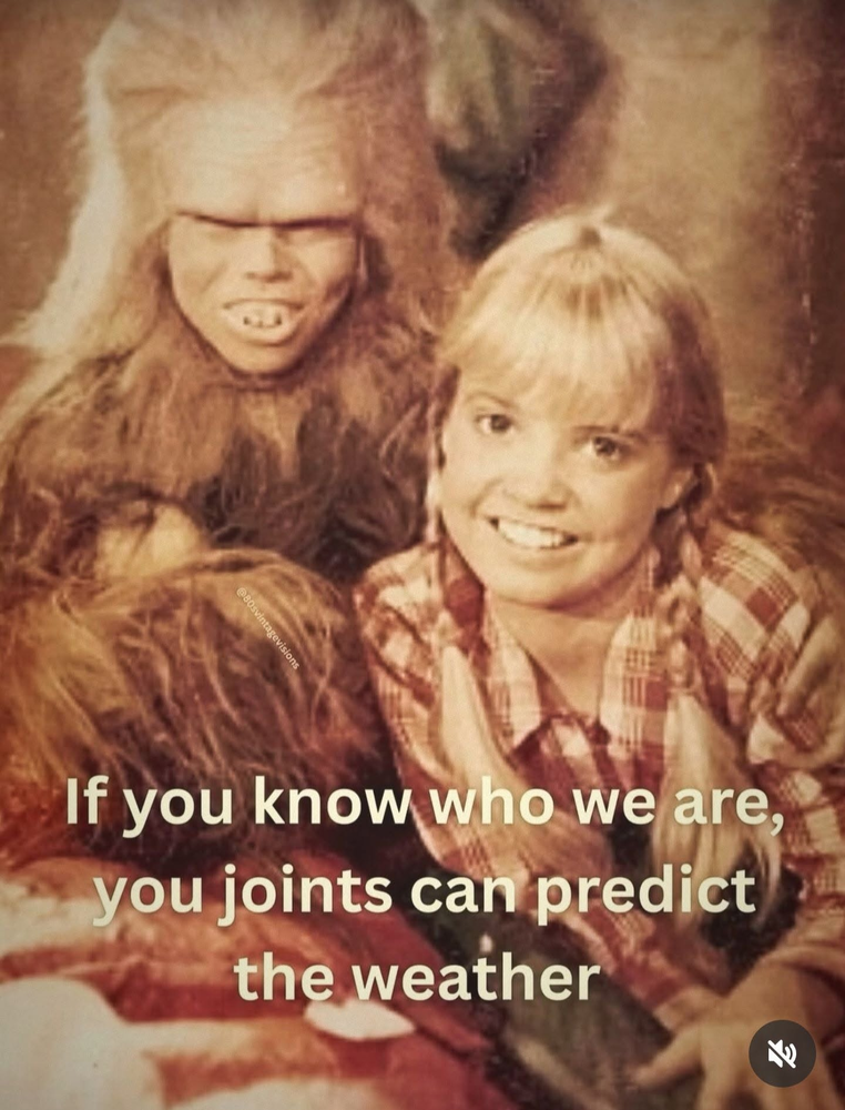 1793186726806.png