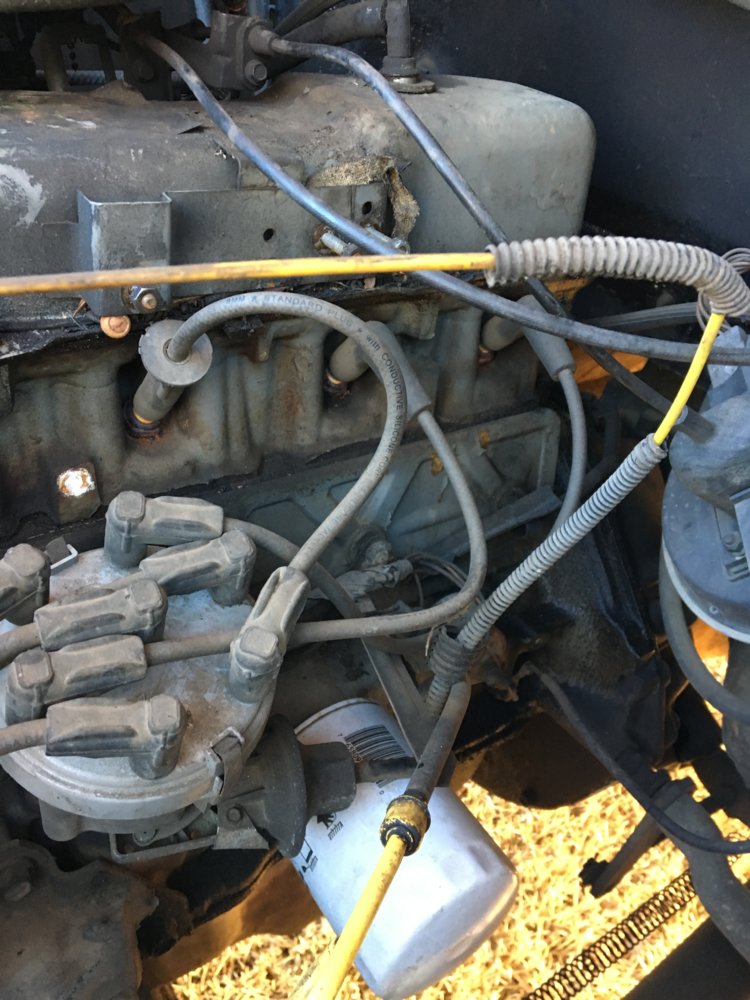 18049DAF-52E1-4BCA-A0C6-A6E56C86C4C0.jpeg