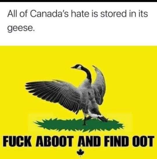 1AC78858-36F9-4C92-ACA3-F0651F52FF18.jpeg