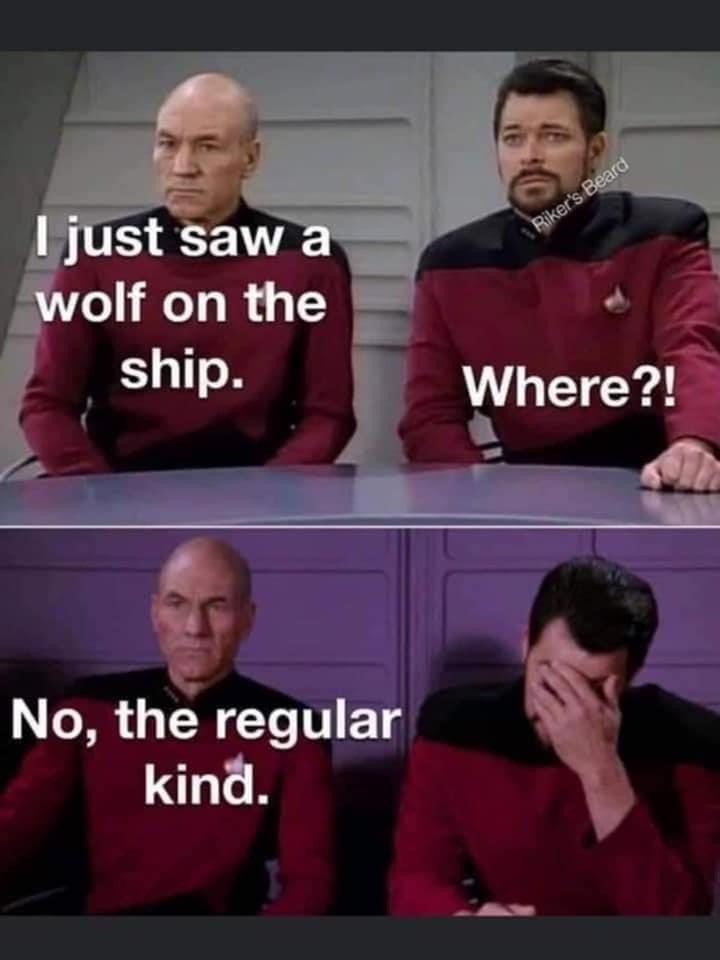 1B777E68-A88C-470E-8D55-65E2973F73DF.jpeg