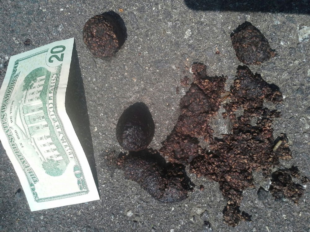 20140618_111356.jpeg