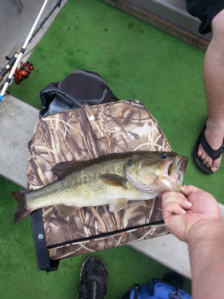 20140727_171121.jpg