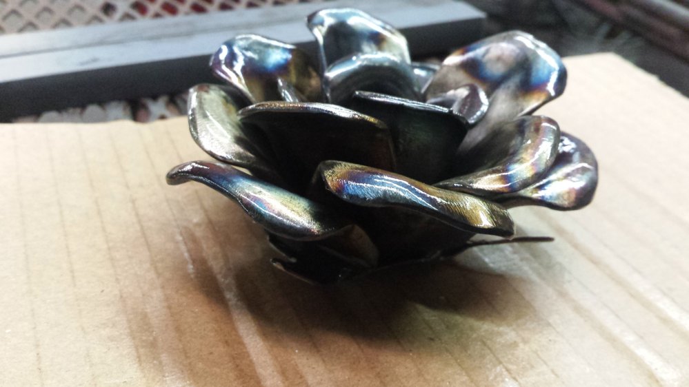 20160217_140143.jpg