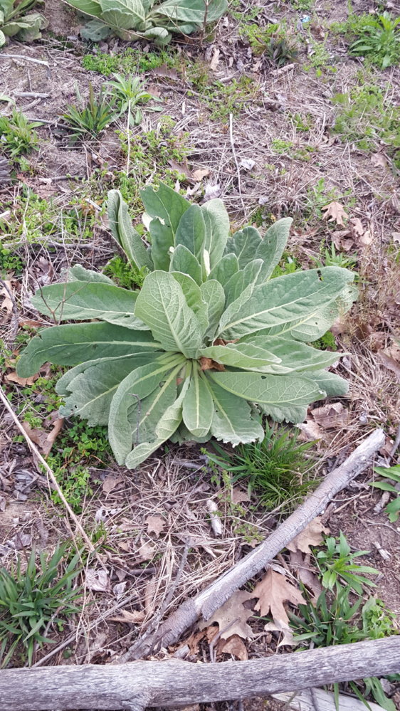 20160410_193055.jpg