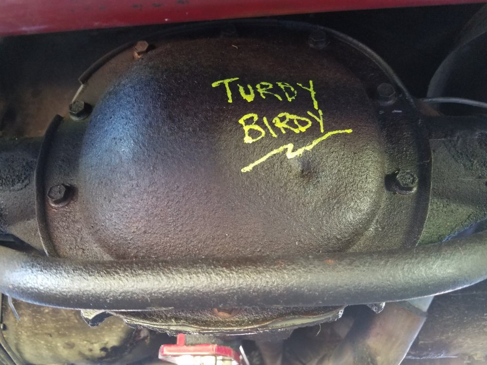 2017-08-05 18.23.49.jpg