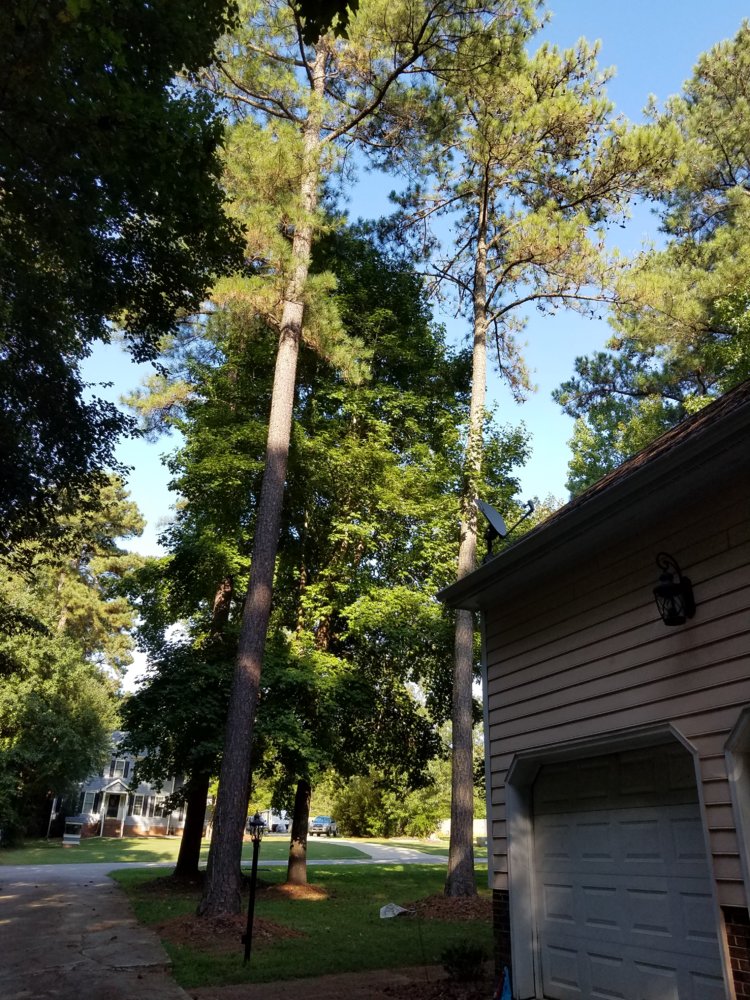 2017-08-30 17.20.41.jpg