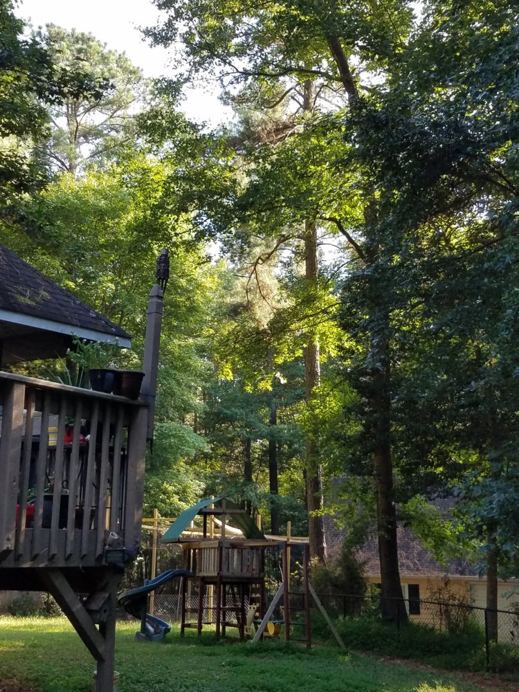 2017-08-30 17.21.02.jpg