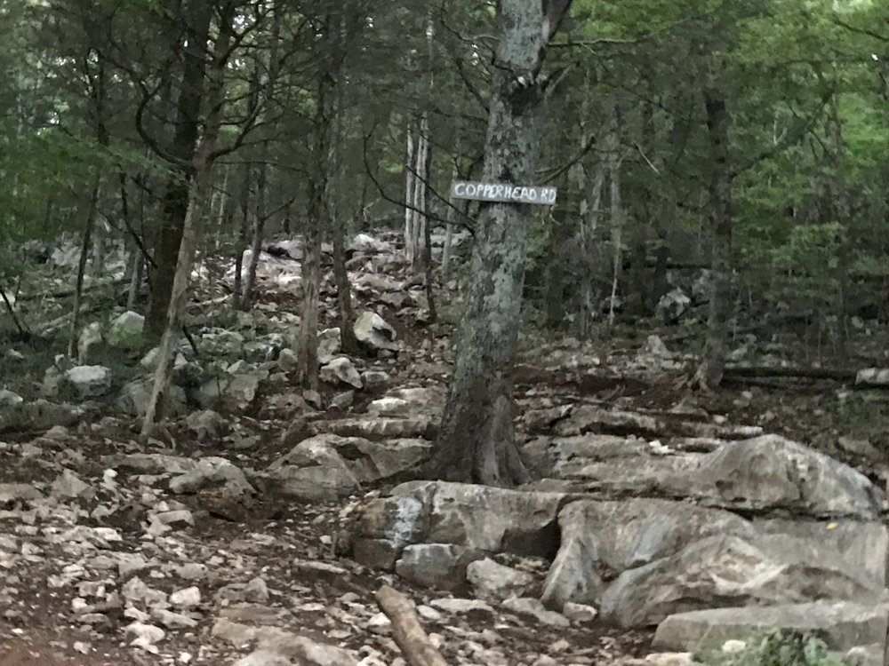 2017-09-21 18.34.39.jpg