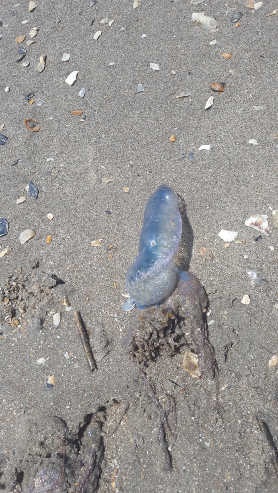 20170430_125152.jpg